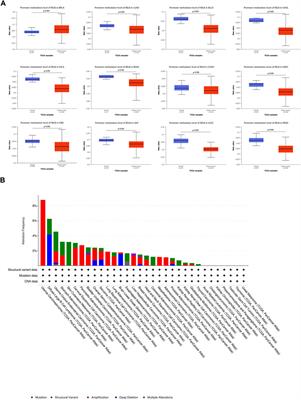 RelB is a potential molecular biomarker for immunotherapy in human pan-cancer